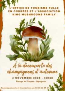 A la découverte des champignons de Corrèze