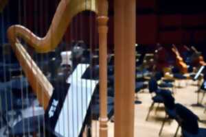 photo A la découverte des instruments : la harpe