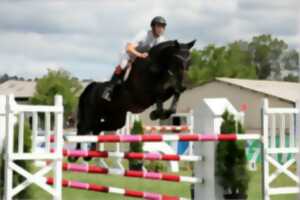 Concours de Saut d'obstacles (CSO)