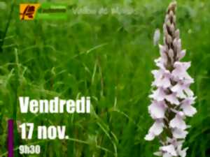 Sortie nature en joëlette 