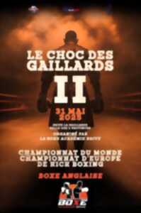 photo Gala de boxe (Espace des trois provinces)