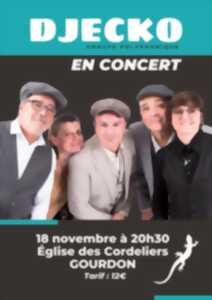 photo Djecko en concert