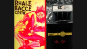 photo CONCERTS BAHLE BACCE CREW + SYSTEMATIK SOUND