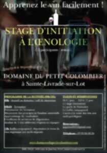 Stage d'initiation à l'oenologie