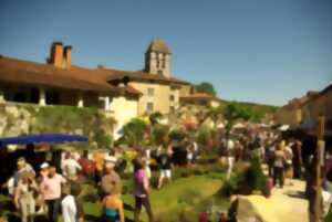 photo Les Floralies de St Jean de Côle