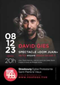 DAVID GIES  Spectacle 