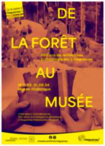 Exposition - De la Forêt au Musée