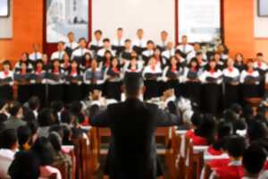 CONCERTS DE NOËL DES AMIS DE L'ORGUE - LES AMIS DE L'ORGUE DE MARVEJOLS