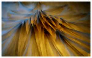 photo Exposition d'œuvres en papier plié 
