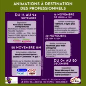 Animations à destination dces professionels
