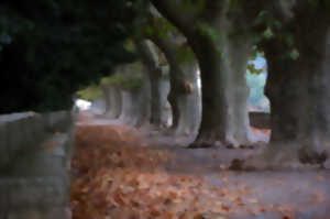 photo FOIRE D'AUTOMNE DE BÉDARIEUX