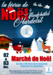 photo LA FEERIE DE NOEL A NEUFCHATEL-HARDELOT
