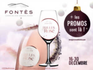 PROMOTIONS DE NOËL
