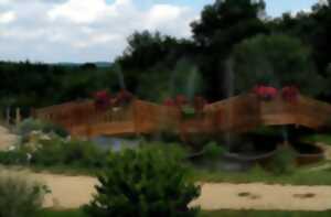 Illuminations des jardins