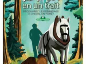SORTIE NATURE | LA FORÊT EN UN TRAIT