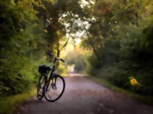 Sortie vélo entre Ondres et la Digue