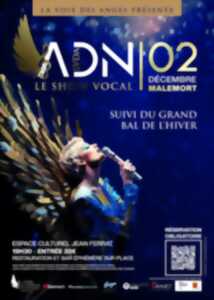 photo Show vocal de La Voix des Anges