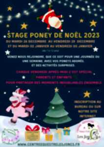 Stage poney de Noël