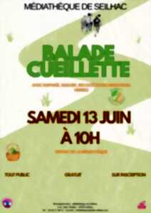 Balade cueillette