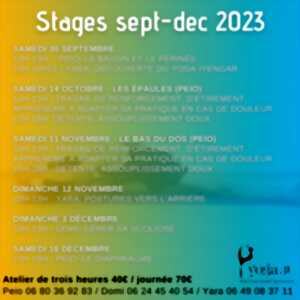 photo STAGE AU YOGA IYENGAR