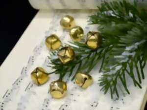 photo Observation nocturne des ratons-laveurs