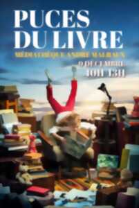 PUCES DU LIVRE