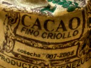 photo Atelier : Initiation à la peinture à l'oeuf