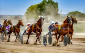 COURSE HIPPIQUE