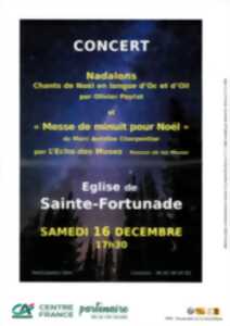 photo Concert