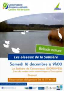 Balade nature : 