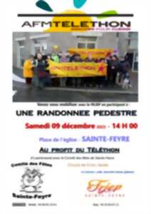 Téléthon : randonnée pédestre