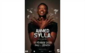 Spectacle: Ahmed Sylla