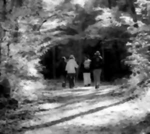 4ème Course des Diables Bleus dans le Bas-Rhin