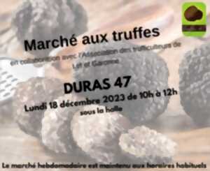 photo Marché aux truffes