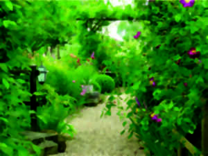 photo Visite du jardin du Coudray
