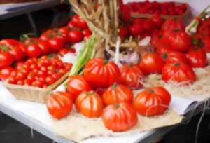 photo Marché traditionnel de Cancon