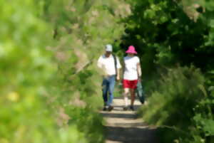 photo Découverte des secrets des près salés