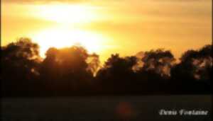 photo Crépuscule en Retz