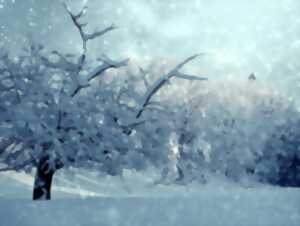 photo Spectacle : Contes de l’hiver