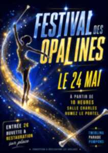 photo Festival des Opalines