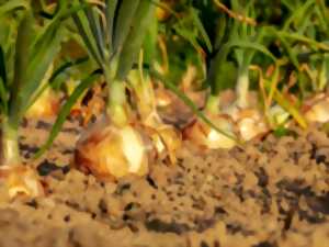 Conférence : le Jardin du Paresseux