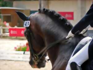 photo Concours de dressage