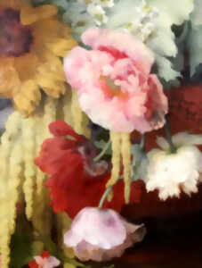 photo Bouquet de couleurs