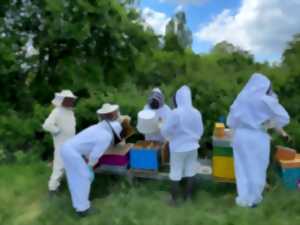 J'apprends l'apiculture avec l'Abeille Cubzaguaise
