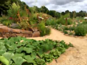 photo J'adapte mon potager à la sécheresse avec la permaculture