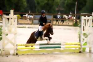 photo Concours de Saut d'Obstacles Poneys Tournée des As