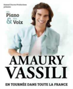 photo Concert Amaury Vassili