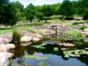 photo Journée nationale des jardins : jardin Lilaveronica