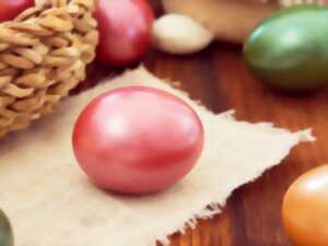 photo Grande chasse aux oeufs suivi du film Walter Lapin