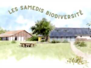 Les Samedis Biodiversité ACTE 2